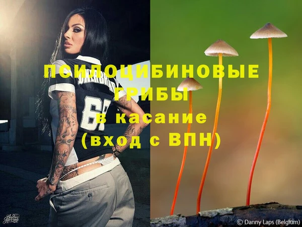таблы Протвино