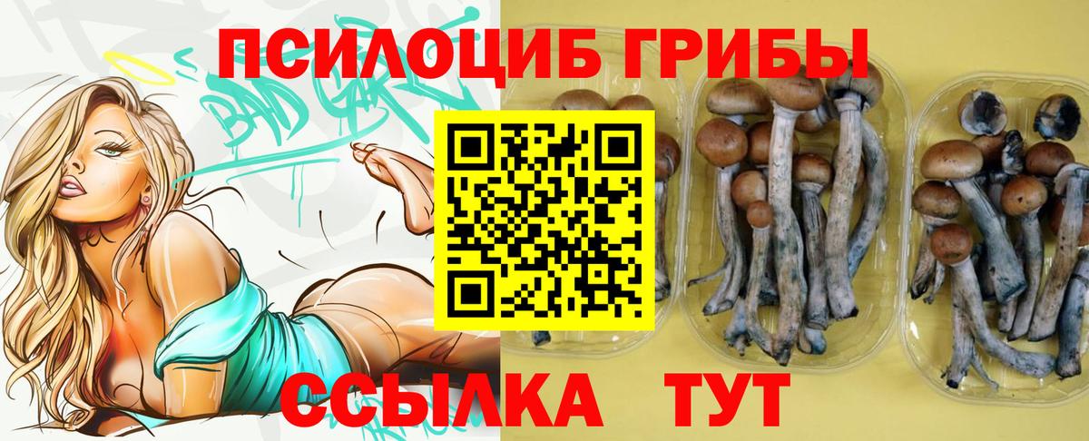 Псилоцибиновые грибы Psilocybine cubensis  Вход с VPN  Новокузнецк 