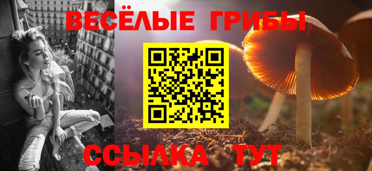 Галлюциногенные грибы прущие грибы Новокузнецк